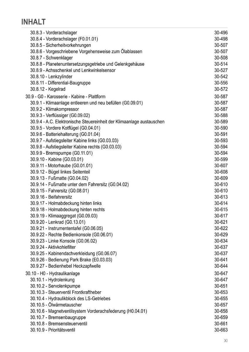 Pu&ograve; includere: Un dettagliato sommario in tedesco, che elenca vari componenti e sistemi automobilistici. Il documento include sezioni su assali, freni e sistemi elettrici, con i relativi numeri di pagina. Si tratta di un manuale tecnico.