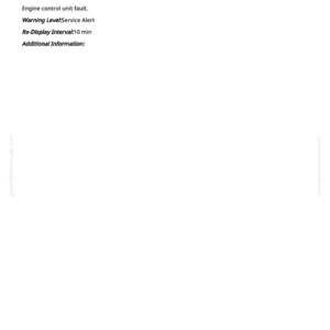 May include: A white page with the text "ECU 002798.05 - Injector Group 2" at the top. The text describes an engine control unit fault, service alert, and a re-display interval of 10 minutes. Additional information is requested.