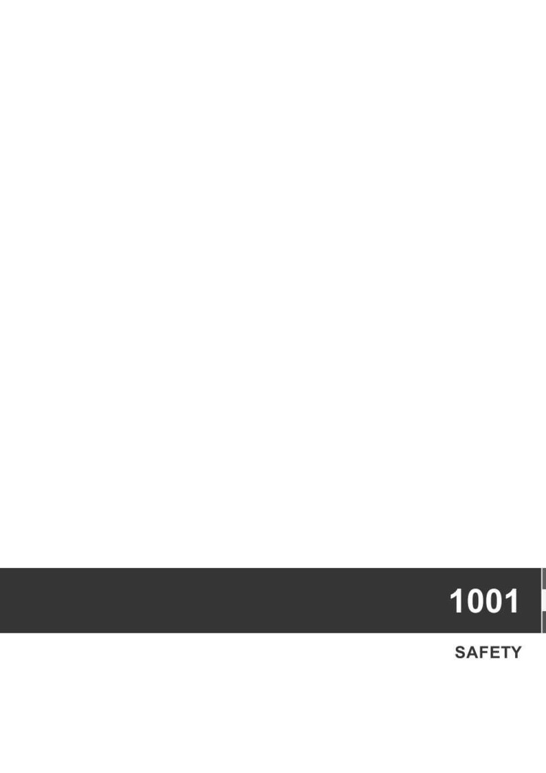 May include: A dark gray rectangular bar with the number "1001" in white text on the right side. Below the number, the word "SAFETY" is also in white text. The background is white.