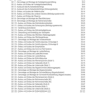 May include: A detailed table of contents from a technical manual, featuring a list of procedures for engine components. The text is in German, with headings and subheadings for various engine maintenance tasks.