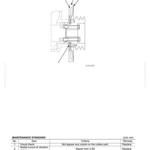 May include: Diagram of a vibration damper with arrows pointing to different parts. The image includes a maintenance standard table with criteria and remedies for visual checks and tightening torque.
