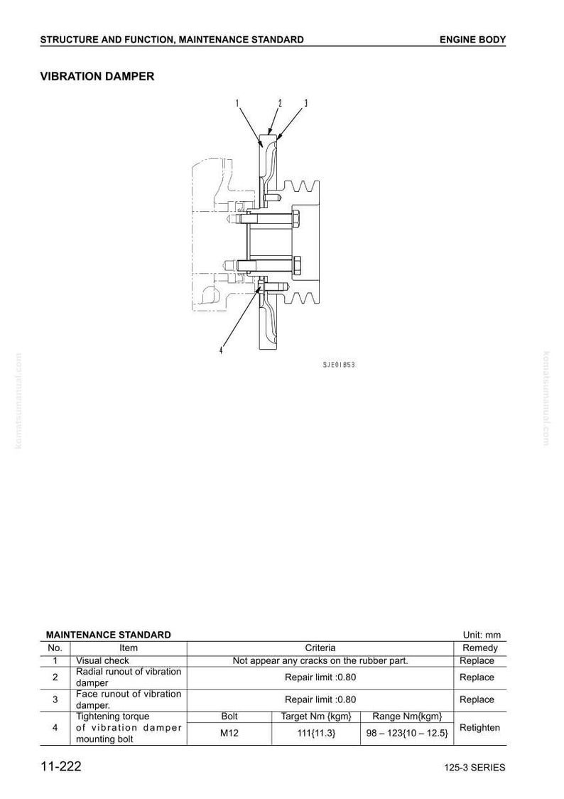 May include: Diagram of a vibration damper with arrows pointing to different parts. The image includes a maintenance standard table with criteria and remedies for visual checks and tightening torque.