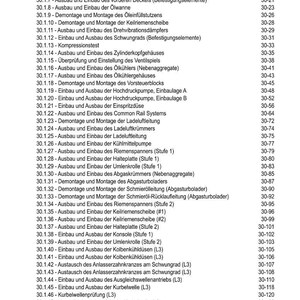 May include: A detailed table of contents in German, listing various engine repair procedures. The document includes sections on components like the crankshaft, cylinder head, and fuel injection system. The page numbers are listed on the right side.