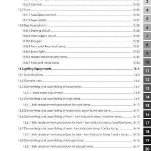 May include: A detailed table of contents from a manual for ARGO Tractors. The document lists various procedures, including testing, dismantling, and assembling components like the alternator, headlamps, and work lamps. The page is white with black text.