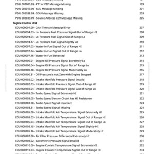 Pu&ograve; includere: Un documento bianco con un elenco di messaggi di errore e codici dell'unit&agrave; di controllo del motore (ECU). Include codici per vari problemi, come errori dell'acceleratore, pressione del carburante e segnali di temperatura.