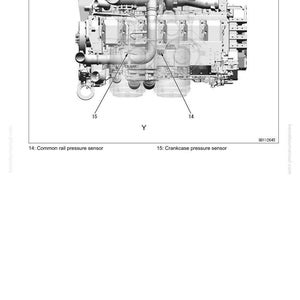May include: Diagram of an engine with labels for the common rail pressure sensor and crankcase pressure sensor. The image is a technical illustration with the text "10 Structure and Function" and "Sensor" at the top.