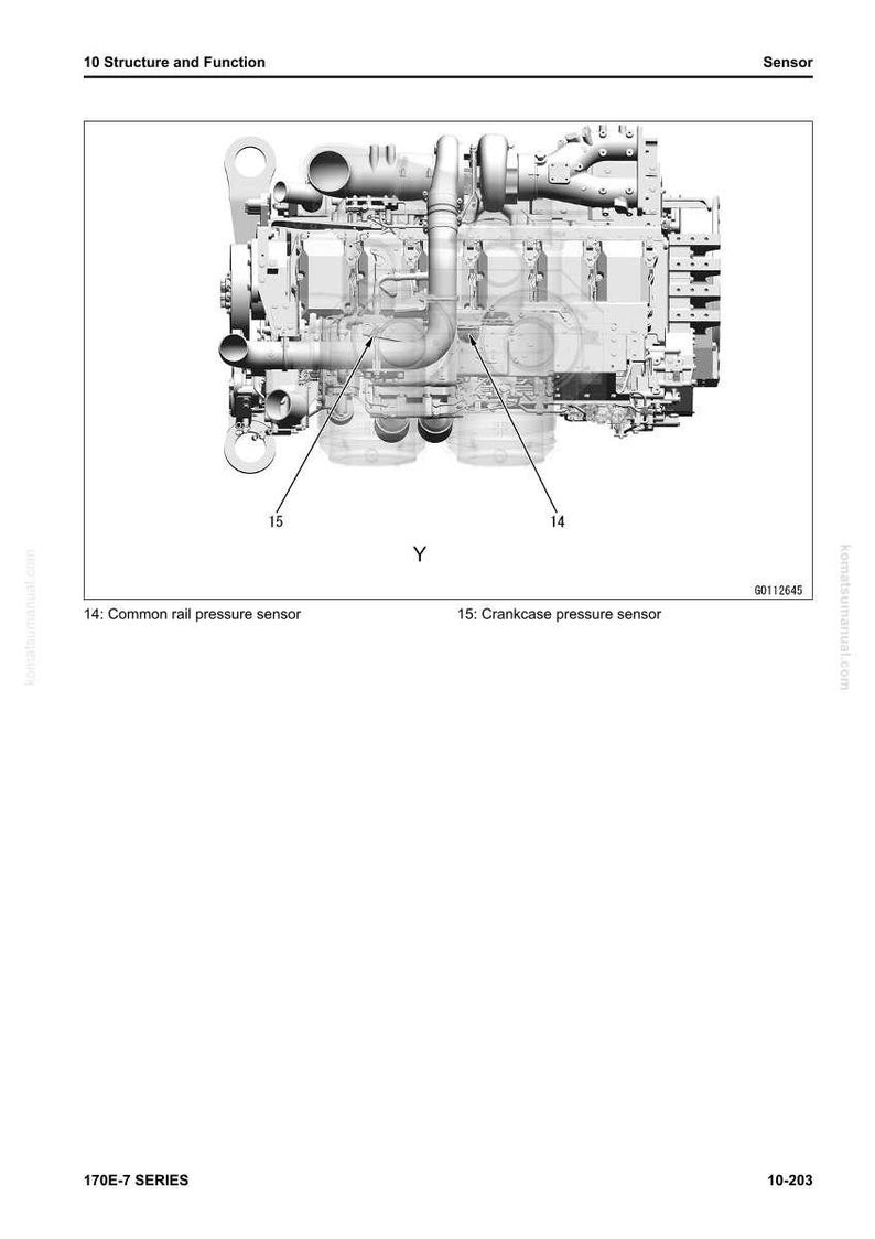 May include: Diagram of an engine with labels for the common rail pressure sensor and crankcase pressure sensor. The image is a technical illustration with the text "10 Structure and Function" and "Sensor" at the top.