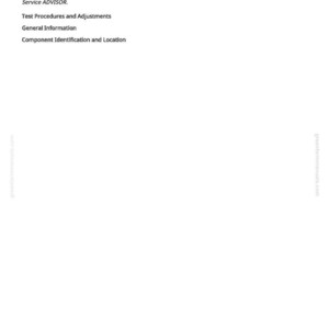 May include: A white page with the title "Section 220 Common Links" and a list of links related to an engine system. The text includes "Test Procedures and Adjustments", "General Information", and "Component Identification and Location".