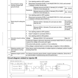 K&ouml;nnte beinhalten: Seite eines Fehlerbehebungsleitfadens mit einer Tabelle mit Fehlercodes und Diagnoseverfahren. Enth&auml;lt ein Schaltbild f&uuml;r Injektor Nr. 6, mit Text und Diagrammen f&uuml;r die Autoreparatur.