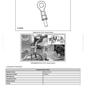 May include: Diagram of a starter motor ring terminal, labeled X718, with the part number H48616. The image includes a close-up of the ring terminal and a diagram of the motor's components. Additional component information is provided.