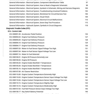 May include: A page from a manual with a list of electrical system diagnostic trouble codes (DTC) and engine control unit (ECU) information. The text includes topics like fuel delivery pressure, sensor voltages, and temperature readings.