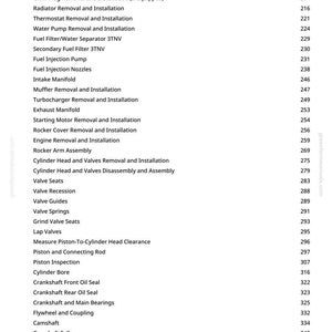 May include: A white page detailing automotive repair procedures, such as "Glow Plug Removal and Installation," "Fuel Injection Pump," and "Cylinder Bore." The page has a greenfantimanocom watermark.