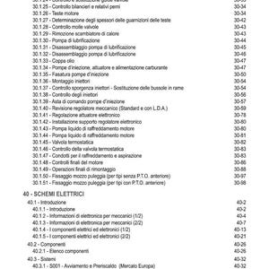May include: An Italian-language index page, detailing technical terms and page numbers. The topics include engine components, electrical schematics, and fuel systems. Page numbers are on the right-hand side.