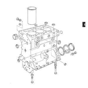May include: An exploded diagram of a cylinder block and liners, with the text "SECTION E Cylinder Block and Liners" at the top. The diagram shows the cylinder block, cylinder liner, and various other engine components.