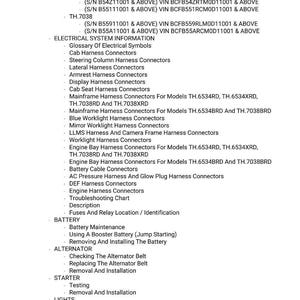 May include: A detailed electrical system diagram with a list of components, including schematics, connectors, and maintenance procedures. The text includes information on battery, alternator, starter, and lights.