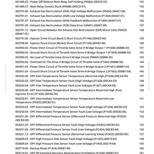 May include: A detailed list of automotive diagnostic trouble codes, including EGR, DPF, and sensor faults, with corresponding code numbers. The text is in black font on a white background, with a green logo in the top left corner.