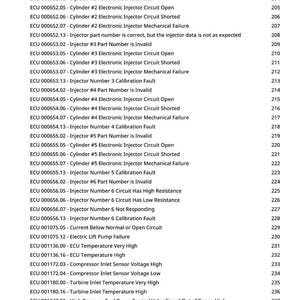 May include: A diagnostic report displaying a list of engine control unit (ECU) error codes. The codes detail issues like injector circuit failures, temperature readings, and sensor voltage problems. The document is a list of potential automotive issues.