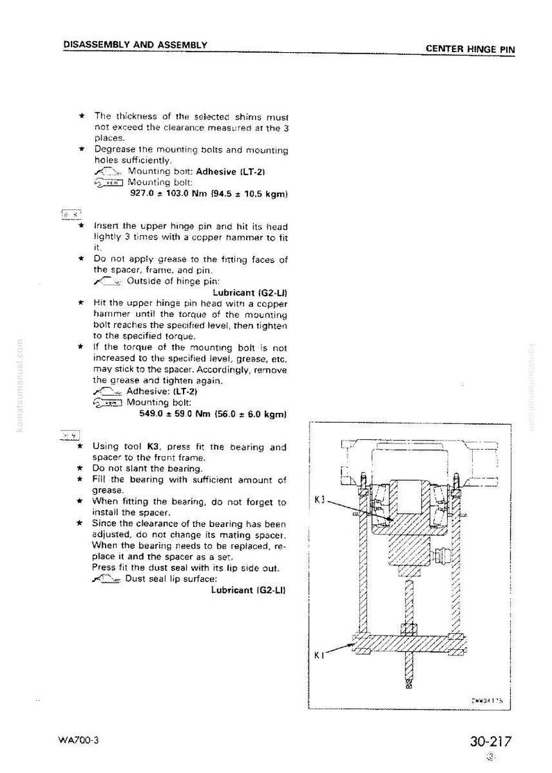 May include: A technical diagram from a manual detailing the disassembly and assembly of a center hinge pin. The diagram includes text instructions and an illustration of the pin's components, with measurements in Nm and kgm.
