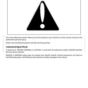 May include: A black and white safety alert symbol, a triangle with an exclamation mark inside, is displayed. The text "Recognise Safety Information" is at the top. The image is from a manual, with safety instructions.