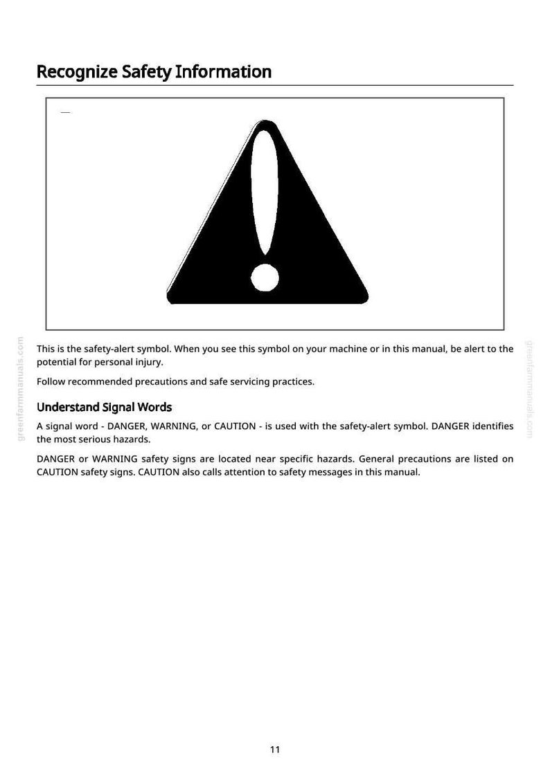 May include: A black and white safety alert symbol, a triangle with an exclamation mark inside, is displayed. The text "Recognise Safety Information" is at the top. The image is from a manual, with safety instructions.