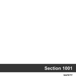 May include: A graphic with the text "Section 1001" in white, bold font, above the word "SAFETY" in a smaller font. The text is on a dark gray rectangular background, set against a white backdrop.