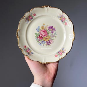 Rosenthal ローゼンタール絵皿/デザートプレート/大皿 Rosenthal