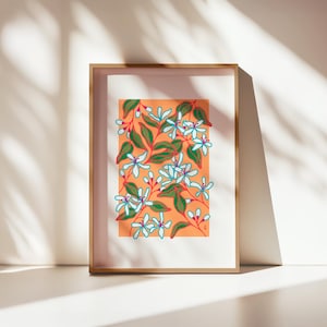 Gelsomino / Stampa Giclée d'arte / Flora mediterranea