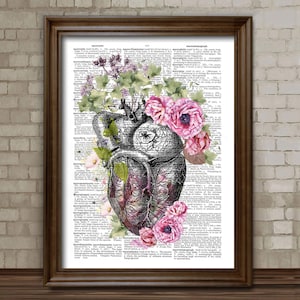 Op de afbeelding: Een vintage anatomische hartillustratie met roze en witte bloemen, omringd door tekst van een woordenboekpagina. Het hart is gedetailleerd met aderen en slagaders, en de bloemen zijn delicaat en realistisch.