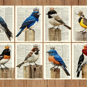 Set di 8 stampe di uccelli e ghirlande per la decorazione delle pareti di casa, poster di uccelli da giardino /86