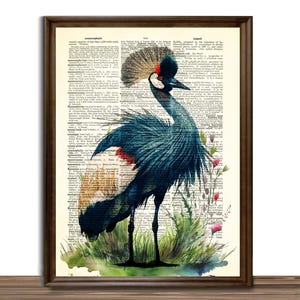 Stampa artistica di un grande uccello trampoliere proveniente da fiumi, paludi e savane, poster della Gru reale su un dizionario scritto /101