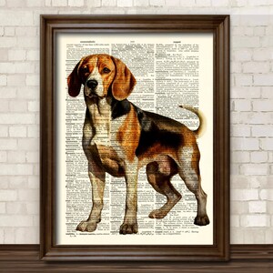 Stampa artistica da parete con poster del cane da caccia Beagle su dizionario /72