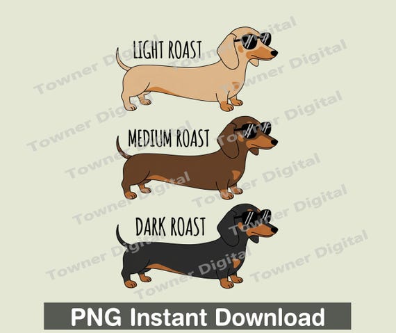 Funny Dachshund Coffee Roast PNG, Dachshund Lover Png, Sunglasses Dog Sublimation
