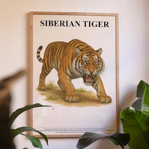 Siberian Tiger Poster – Wildlife Wall Art, Big Cat Illustration, Nature Lover Gift, Safari Animal Decor, Jungle Home Art, Wildlife