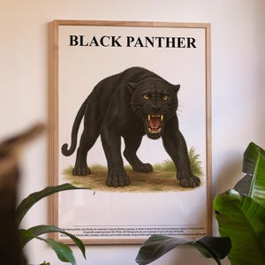Black Panther Poster – Wildlife Wall Art, Big Cat Illustration, Nature Lover Gift, Safari Animal Decor, Jungle Home Art, Wildlife