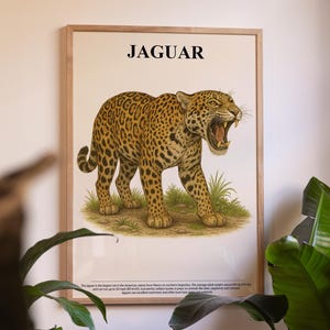 Jaguar Poster – Wildlife Wall Art, Big Cat Illustration, Nature Lover Gift, Safari Animal Decor, Jungle Home Art, Wildlife