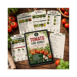May include: A digital tablet displaying a Tomato Care Bundle guide with a cover featuring red tomatoes and green leaves. Surrounding the tablet are several printed pages titled Tomato Problems Solved, Tomato Pests Solved, Tomato Natural Remedies, Tomato Companion Planting, and Tomato Seasonal Care Guide, all arranged on a wooden surface with fresh tomatoes and basil.