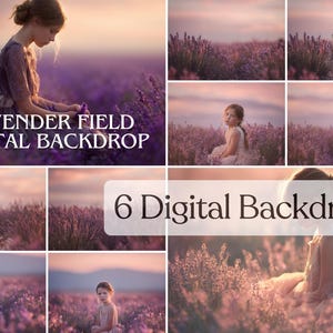 Puede incluir: Seis fondos digitales con campos de lavanda. Las imágenes muestran a una persona joven en un campo de lavanda, con iluminación suave y una estética de ensueño. El texto en la imagen dice "Lavender Field Digital Backdrop" y "6 Digital Backdrops."