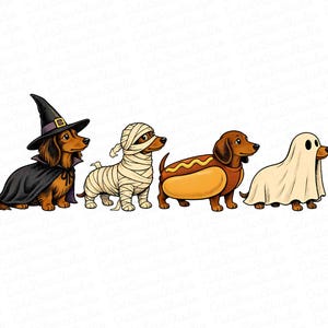 Peut inclure: Une illustration numérique de quatre teckels bruns portant des costumes d'Halloween. Le premier porte un chapeau de sorcière et une cape noirs, le deuxième est enveloppé de bandages de momie blancs, le troisième un costume de hot-dog, le quatrième un drap de fantôme blanc.