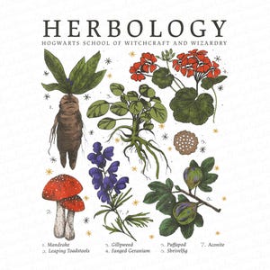 May include: An illustration of various magical plants from the Harry Potter universe, including Mandrake, Leaping Toadstools, Gillyweed, Fanged Geranium, Puffapod, Shrivelfig, and Aconite. The illustration is in a vintage style with hand-drawn details and a white background.