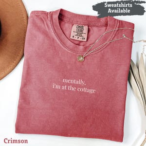 Comfort Color Will You Come to My Cottage This Summer Shirt, LGBTQ Movie Merch, Gift For Movie Lover, Heated Rivalry Inspired Tee T-Shirt