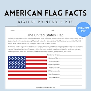 American Flag Facts Worksheet: US History Printable (PDF)