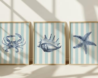 Coastal Wall Art Set of 3 | Nautical Crab Shell Starfish Prints | Beachy Decor | East Coast Summer Wall Art | Ocean Art Digital Download