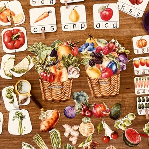Estudio de unidad sobre frutas y verduras para preescolar y jardín de infancia / Juegos Montessori de clasificación de frutas y verduras / ¿Dónde crecen las frutas y verduras?