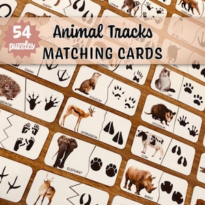 May include: A set of 54 animal tracks matching cards. Each card features an animal illustration and its corresponding footprint. The cards include animals like elephants, rhinos, and cows. The text "Animal Tracks MATCHING CARDS" is displayed.
