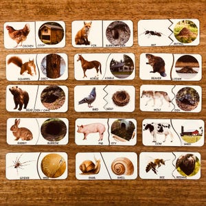 Puede incluir: Un conjunto de tarjetas didácticas con temática de animales con pares coincidentes. Las tarjetas presentan ilustraciones de animales como un pollo, un zorro, una ardilla, un caballo, un oso, un conejo, un cerdo, una vaca, una araña, un caracol y una abeja, junto con sus hábitats.