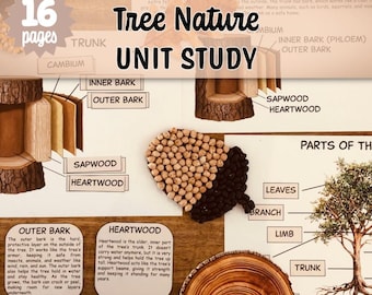 Tree Unit Study for Kids | Homeschool Nature Study Bundle | Anatomy of a Tree Learning Materials | Preschool & Educational Prints