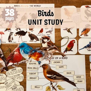 May include: An educational unit study on birds, featuring illustrations and diagrams. The image includes the text "Birds UNIT STUDY" and "38 pages". It also has labels for bird anatomy and information about different bird species.