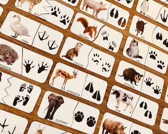 May include: A collection of animal flashcards with illustrations of various animals, including a wolf, pig, and squirrel. Each card features the animal's name and a depiction of its footprints. The cards are arranged on a wooden surface.
