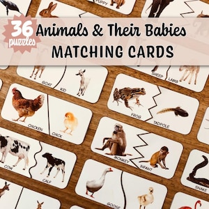 May include: A set of 36 animal matching cards. Each card features an animal and its baby, such as a chicken and chick, or a frog and tadpole. The cards are arranged on a wooden surface.