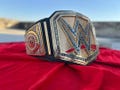 Undisputed Universal Championship Replica Belt | 4MM/2MM Brass | Wrestling Title | Adult Size | Gift for Fans product logo